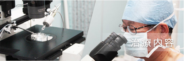 治療内容