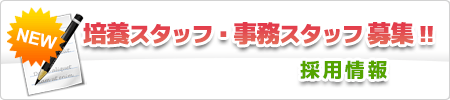 採用情報｜看護師募集!!